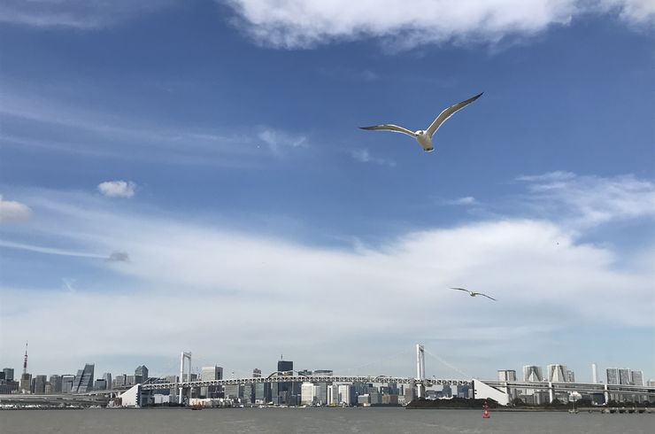 東京湾