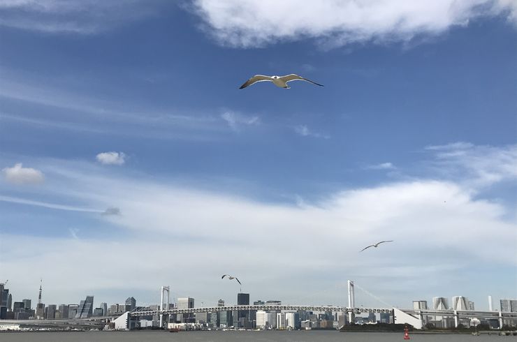 東京湾