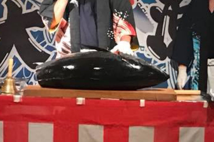 本マグロ解体ショー